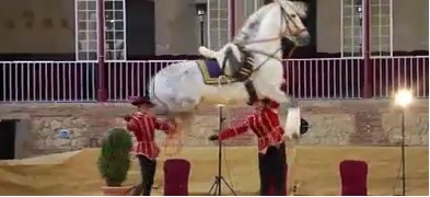 caballo_andaluz